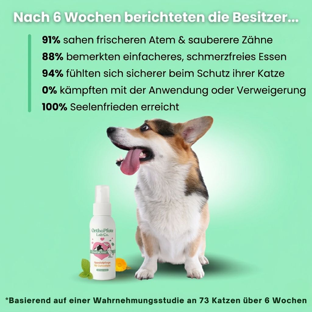OrthoPfote DentaClean®