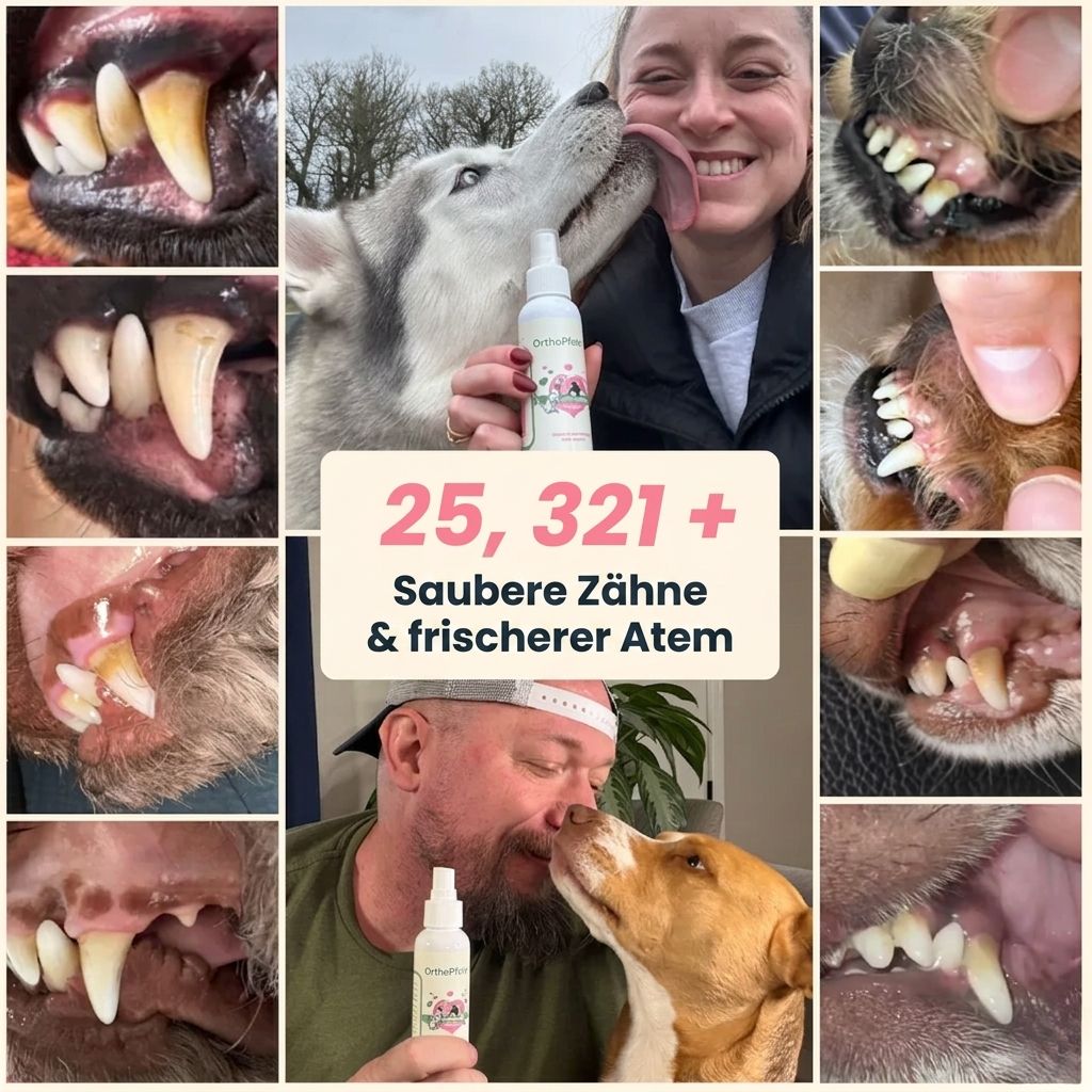 OrthoPfote DentaClean®