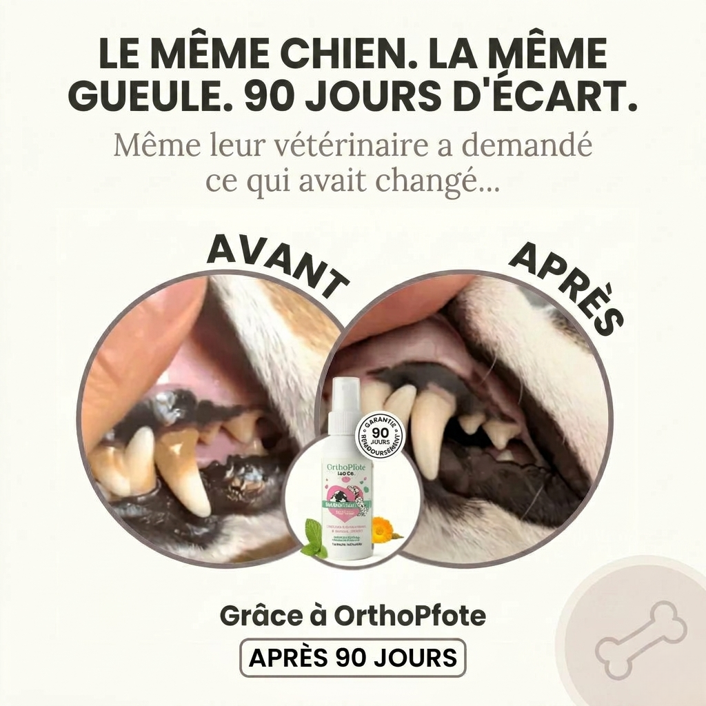 OrthoPfote DentaNet®